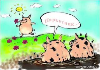 прикол.jpg
