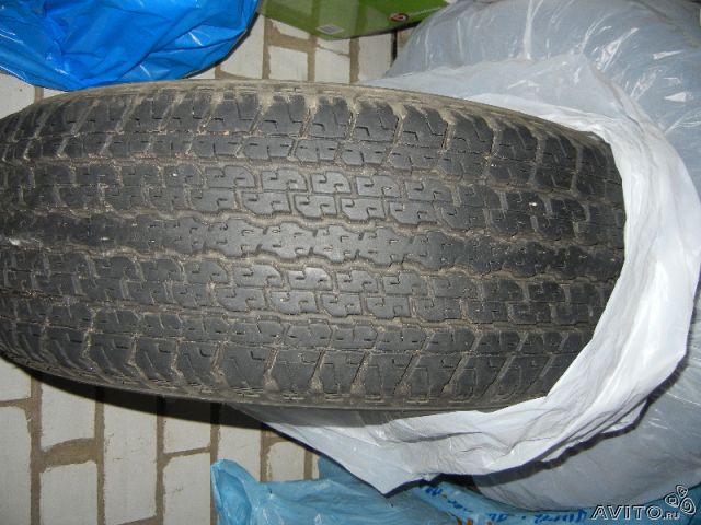 273087682[1].jpg