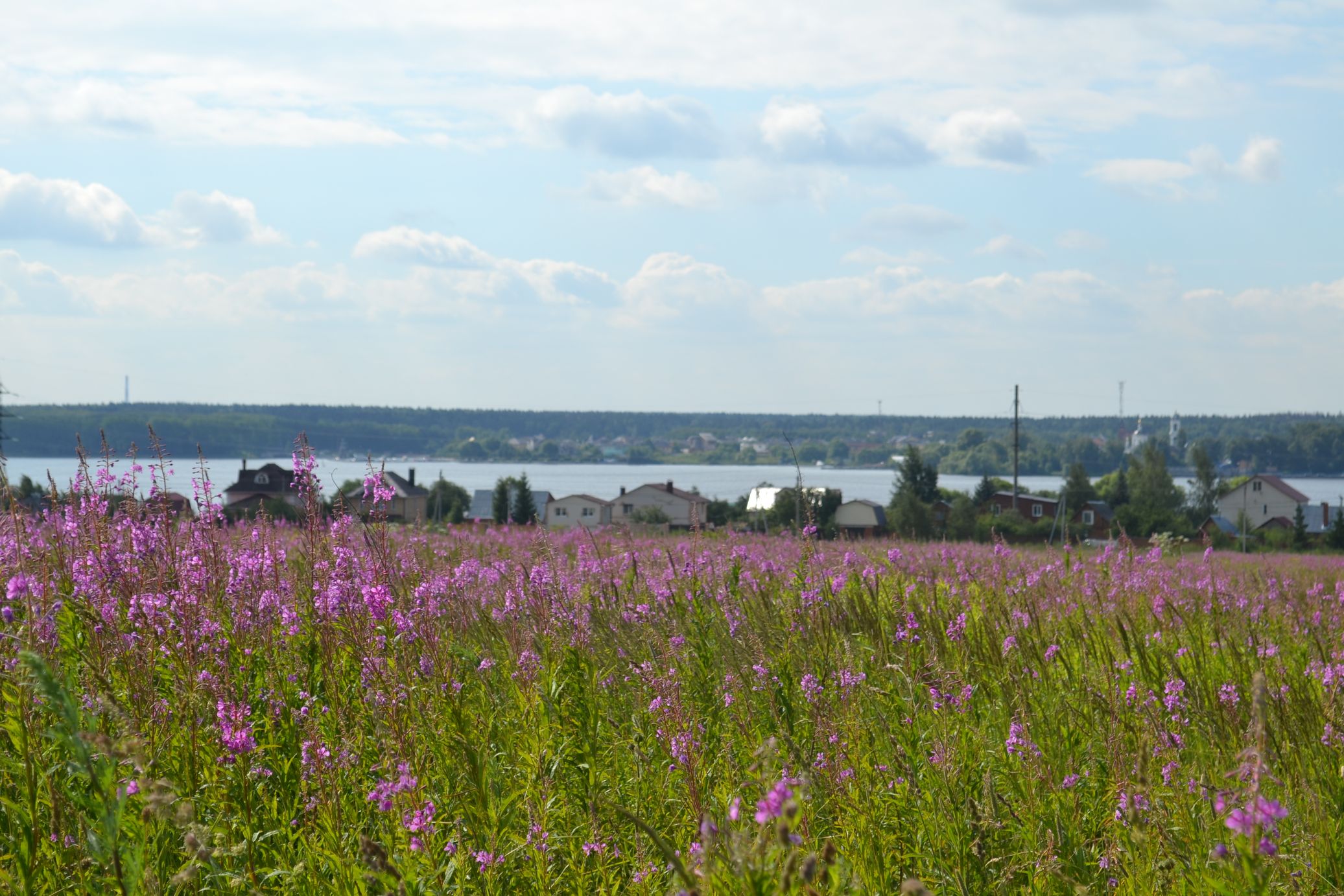 2014-07-04 16-08-38.JPG