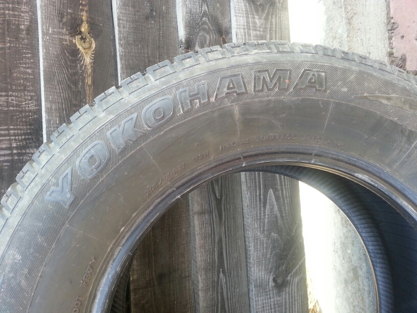 20150328_112032.jpg