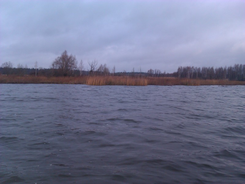 IMAG0235.jpg