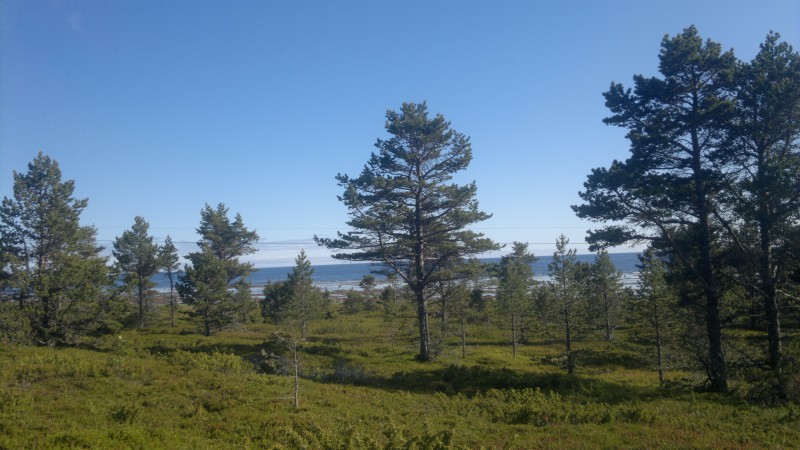 2016-06-11-6083.jpg