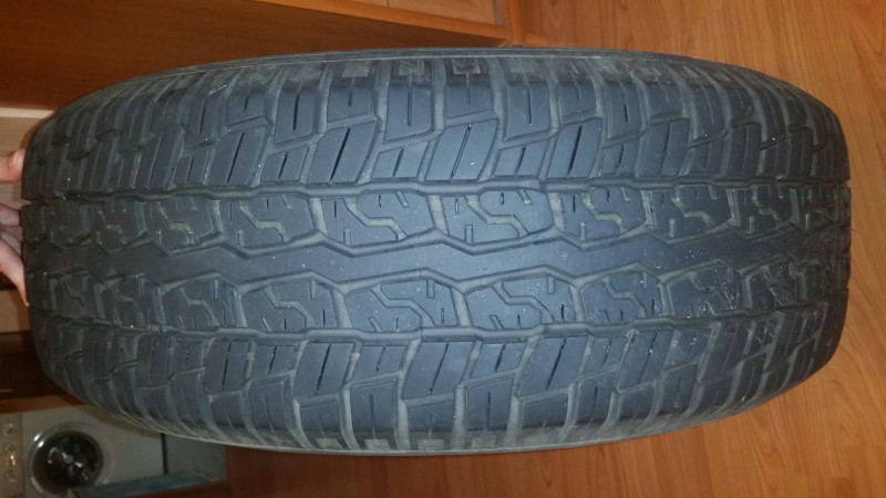 20170311_125513.jpg
